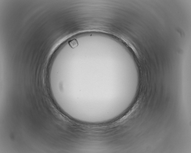 X0000111371069200907101012