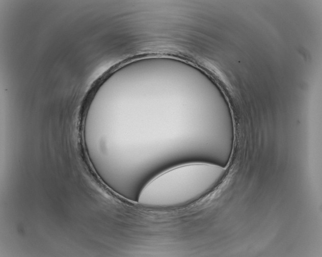 X0000111371071200907101012