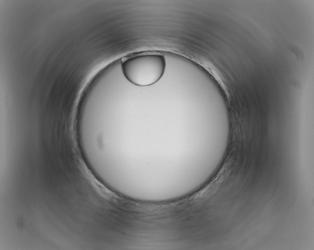 X0000111371072200907101012