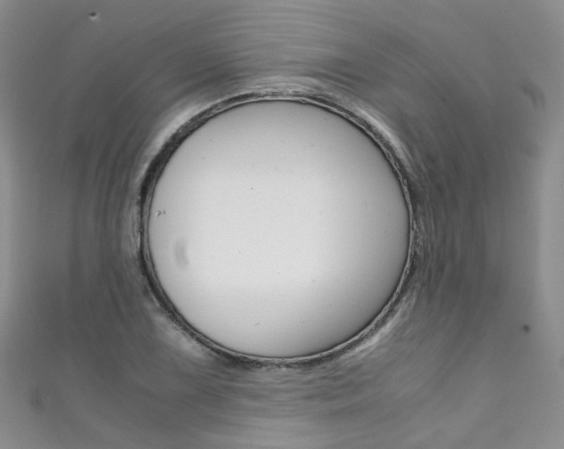 X0000111371075200907101012