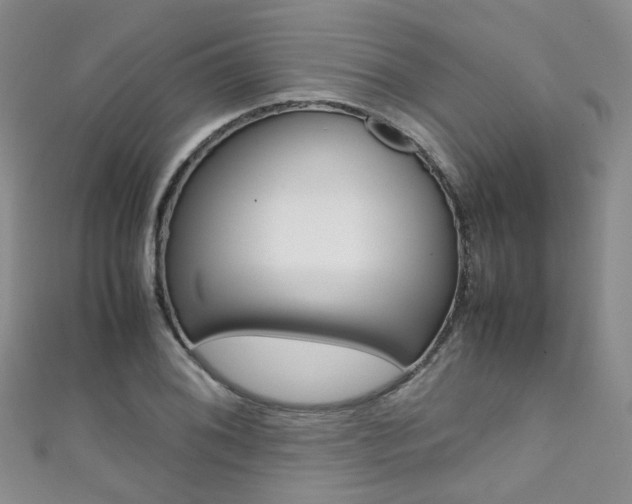 X0000111371076200907101012