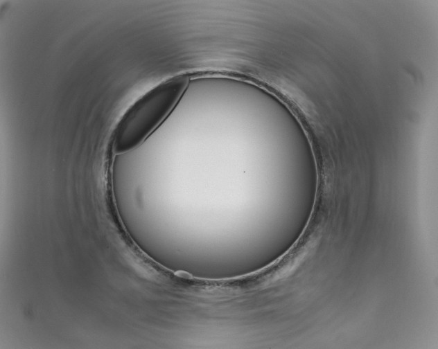 X0000111371077200907101012