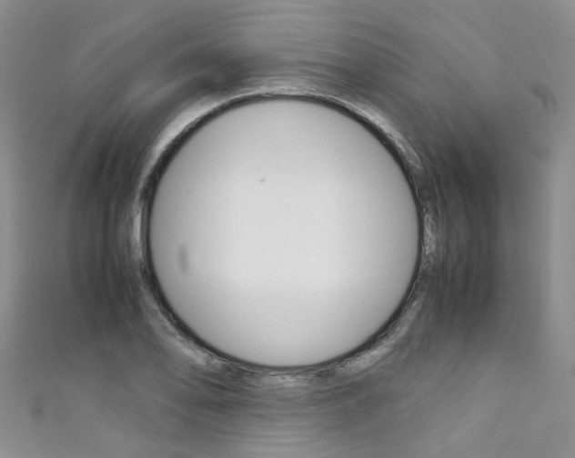 X0000111371078200907101012