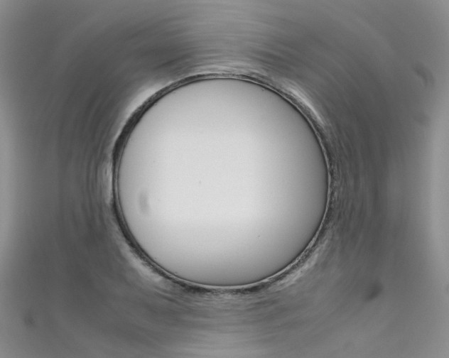 X0000111371079200907101012