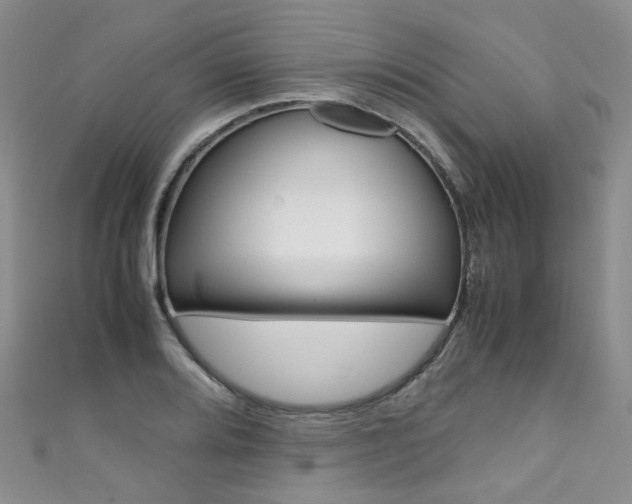 X0000111371080200907101012