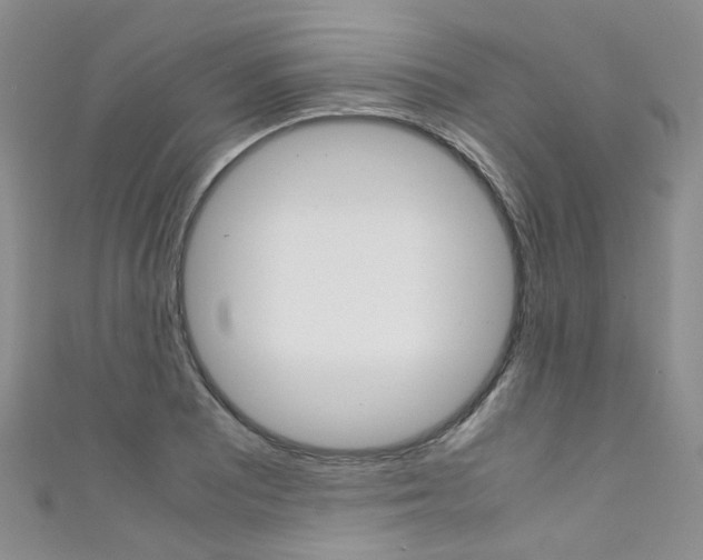 X0000111371081200907101012