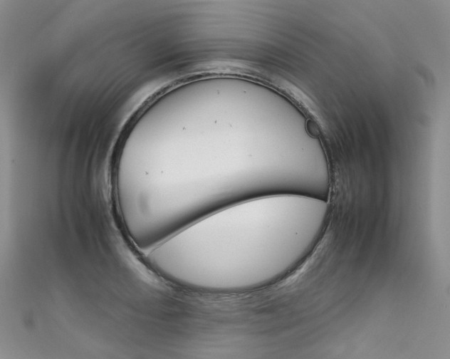X0000111371082200907101012