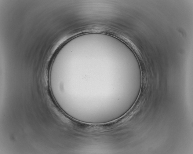 X0000111371083200907101012