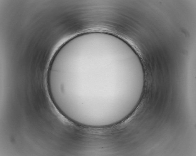 X0000111371086200907101012