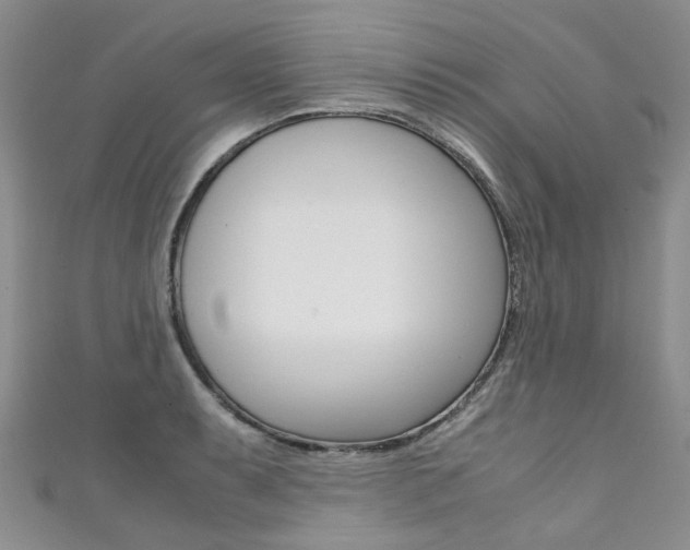 X0000111371087200907101012