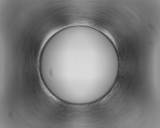 X0000111371088200907101012