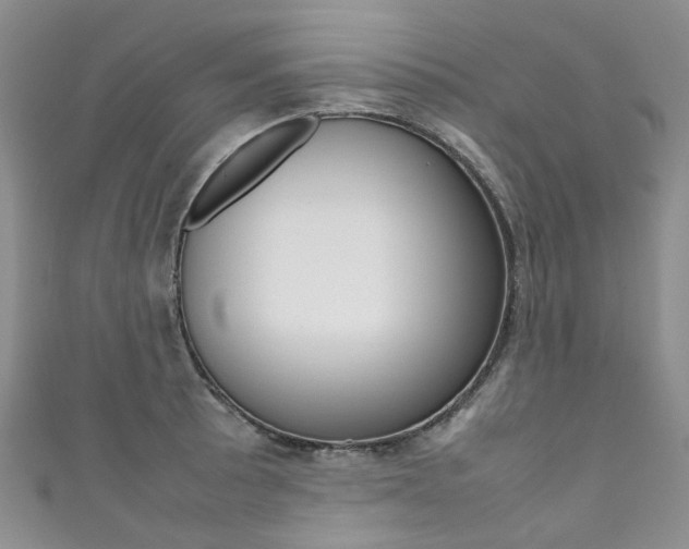 X0000111371089200907101012