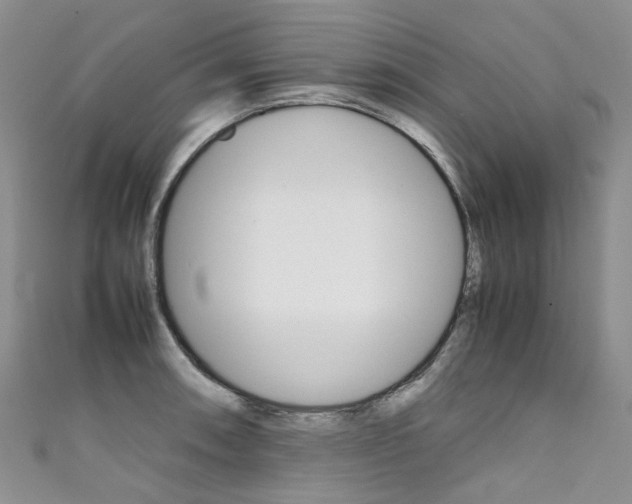 X0000111371090200907101012