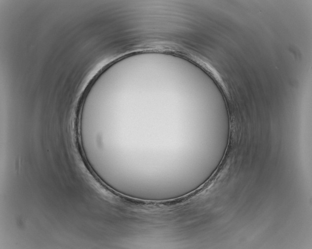 X0000111371091200907101012