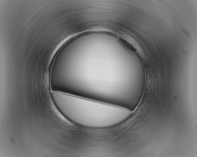 X0000111371092200907101012
