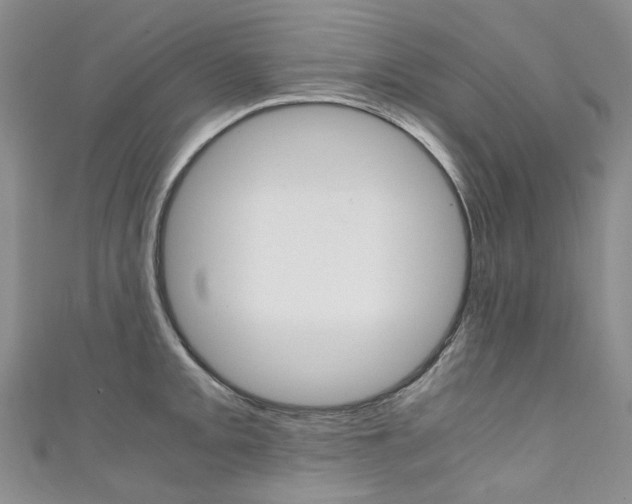 X0000111371093200907101012