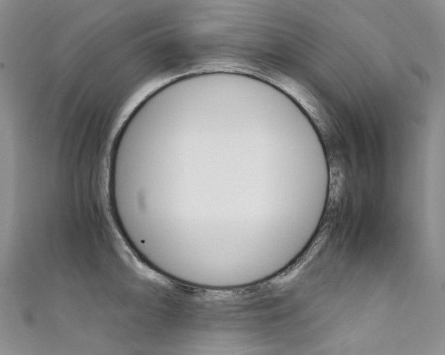 X0000111371094200907101012