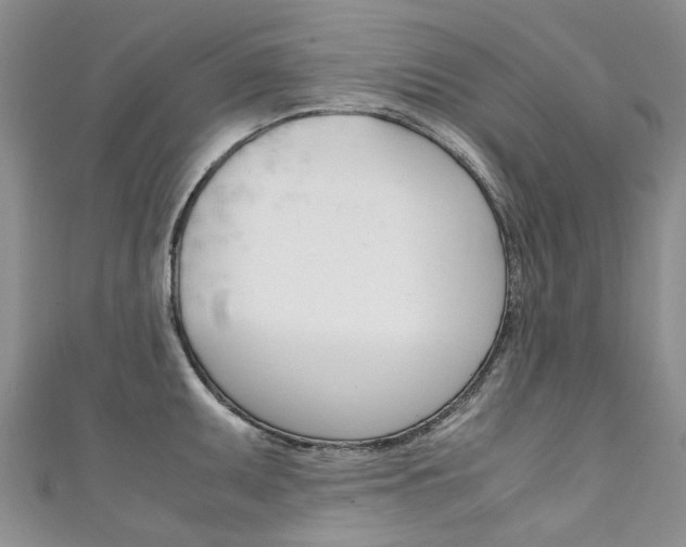 X0000111371095200907101012
