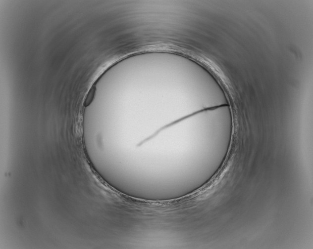 X0000111371097200907101012