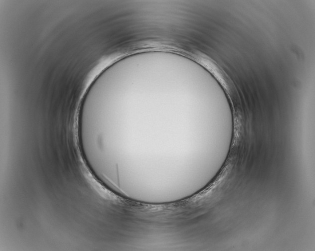 X0000111371098200907101012