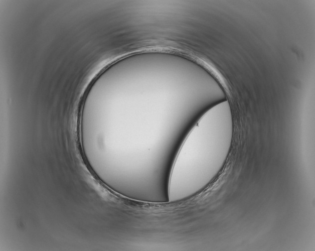 X0000111371099200907101012
