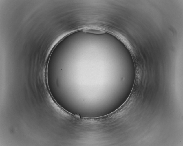 X0000111371100200907101012