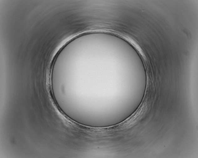 X0000111371101200907101012