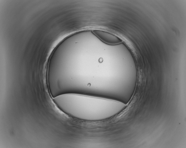 X0000111371102200907101012