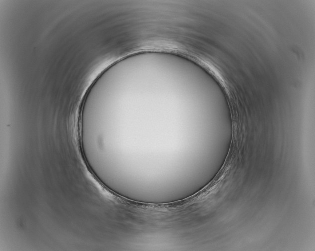 X0000111371103200907101012