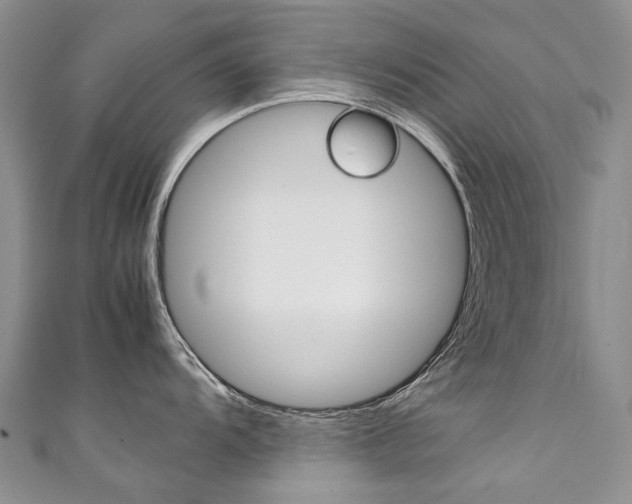 X0000111371104200907101012