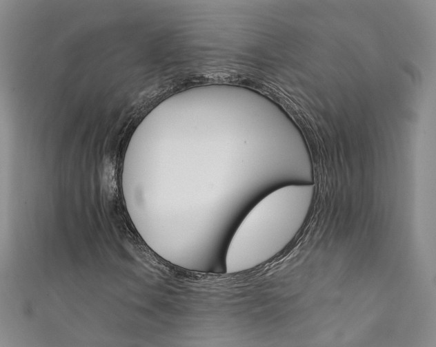 X0000111371106200907101011
