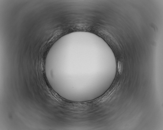 X0000111371107200907101011
