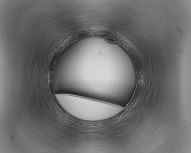 X0000111371108200907101011