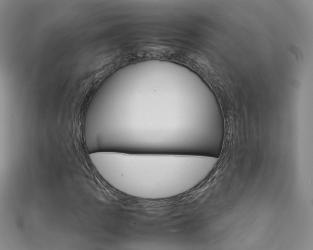 X0000111371109200907101011