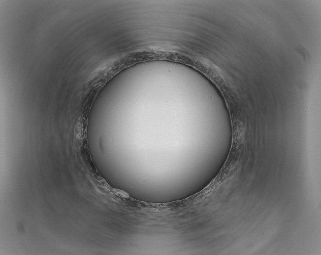 X0000111371110200907101011