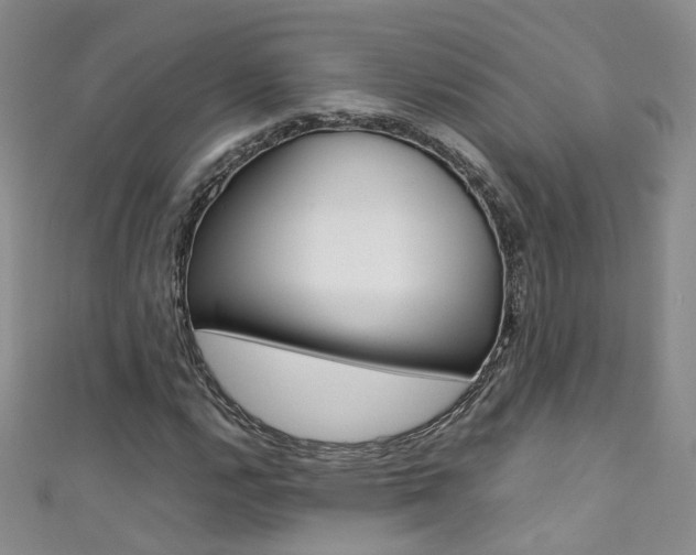 X0000111371112200907101011