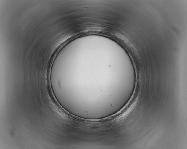 X0000111371113200907101011