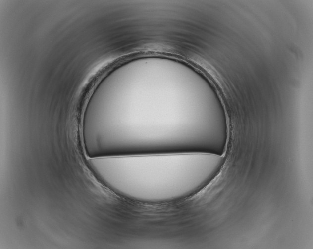 X0000111371115200907101011