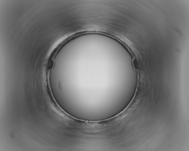 X0000111371120200907101011