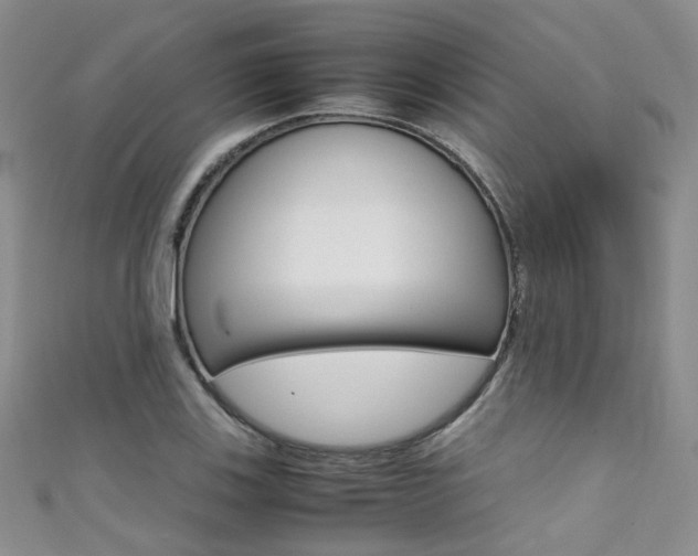 X0000111371123200907101011