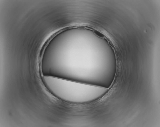 X0000111371124200907101011