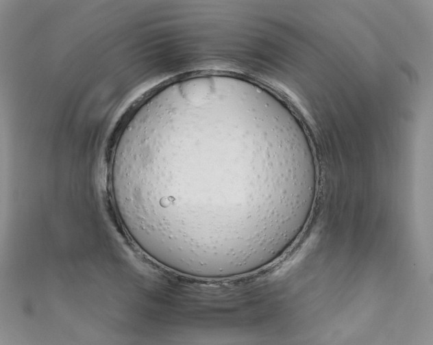 X0000111371125200907101011