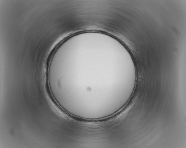 X0000111371126200907101011