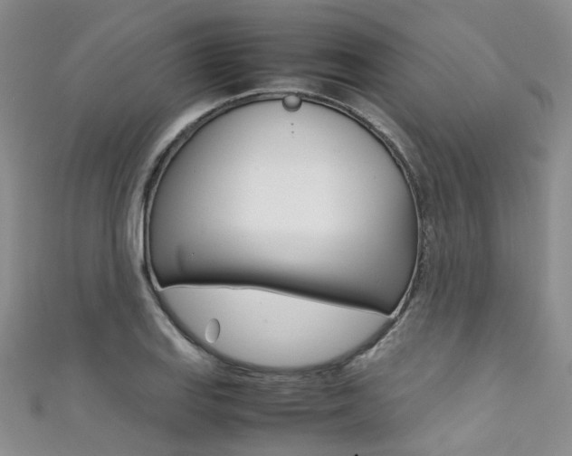 X0000111371127200907101011