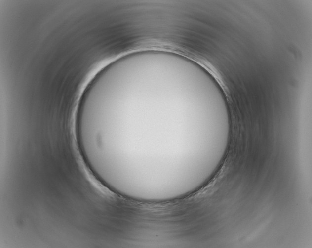 X0000111371128200907101011