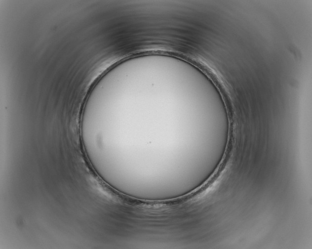 X0000111371129200907101011