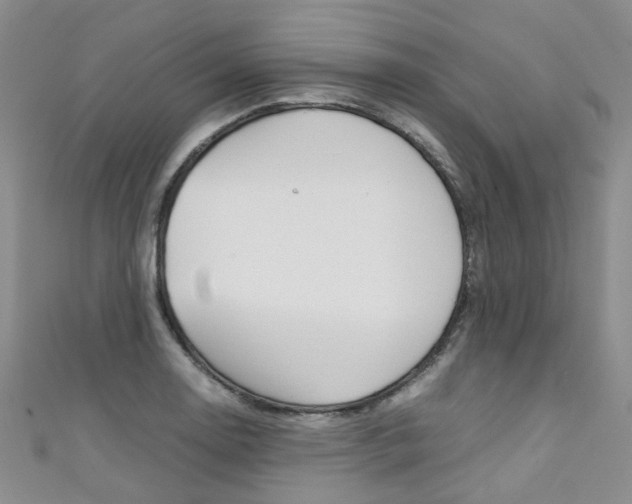 X0000111371130200907101011