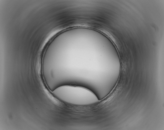 X0000111371131200907101011