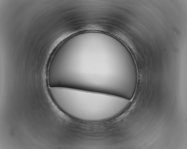 X0000111371133200907101011