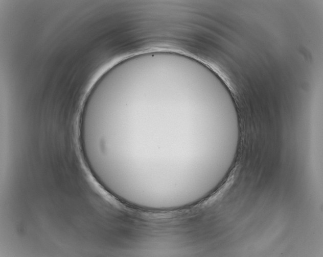 X0000111371134200907101012